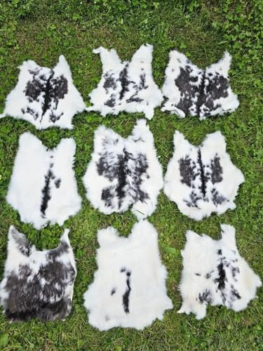 Provellus Kaninchen Felle Kaninchenfell viele Natur Farben TOP Gerbung (Dunkel gecheckt, 1 Stück 2.Wahl) von Provellus