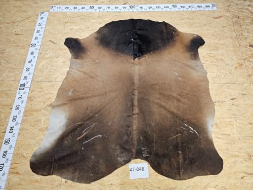 Provellus Kuhfell mit kleinen Mängeln 41-048 von Provellus