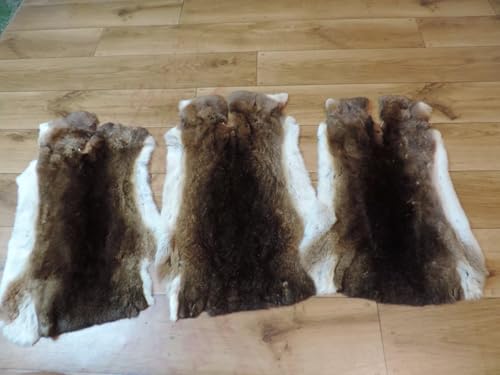 Provellus Premium Rex Kaninchen Felle Rexkaninchen Kaninchenfell Kaninchen Fell Hasenfell (Castor Rex mit Fehlern) von Provellus