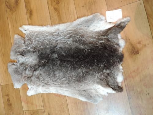 Provellus Premium Rex Kaninchen Felle Rexkaninchen Kaninchenfell Kaninchen Fell Hasenfell (Chinchilla Rex mit kleinen Fehlern) von Provellus