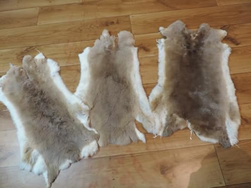 Provellus Premium Rex Kaninchen Felle Rexkaninchen Kaninchenfell Kaninchen Fell Hasenfell (Rex Lux mit kleinen Fehlern) von Provellus