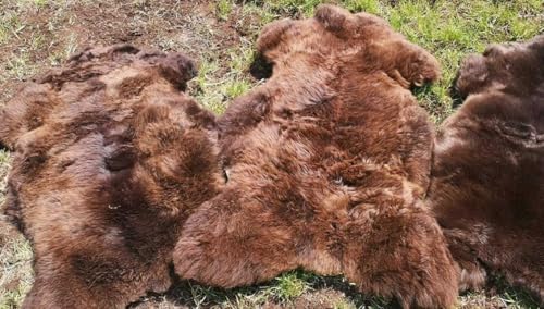 Provellus Top Öko Lammfell Schaffell Felle Natur Braun Neu S - XXL (30 cm rund) von Provellus