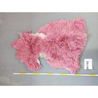 Schaffell 2. Wahl Mit Mängeln Schnäppchen Unikat 84-142 Schaffell 2. Wahl Mit Mängeln Schnäppchen Unikat 84-142 von Provellus