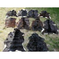 Ziegenfelle Ziegenfell Fell Kein Geruch Top Gerbung Natur Dunkel 2. Wahl Schnäpp Ziegenfelle Ziegenfell Fell Kein Geruch Top Gerbung Natur Dunkel 2. Wahl Schnäpp von Provellus