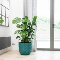 Keramik Blumentopf Terracotta - Mars Türkis | Handgefertigt Frostbeständig Ø 45 cm × H Keramik Blumentopf Terracotta - Mars Türkis | Handgefertigt Frostbeständig Ø 45 cm × H von Provencelia