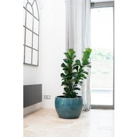 Keramik Blumentopf Terracotta - Romulus Cremefarben | Handgefertigt Frostbeständig Ø 31 cm × H 23 von Provencelia