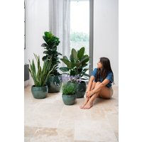 Keramik Blumentopf Terracotta - Romulus Jade | Handgefertigt Frostbeständig Ø 31 cm × H 23 Keramik Blumentopf Terracotta - Romulus Jade | Handgefertigt Frostbeständig Ø 31 cm × H 23 von Provencelia