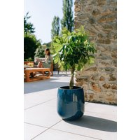 Keramik Blumentopf Terracotta - Socrate Azurblau | Handgefertigt Frostbeständig Ø 48 cm × H 49 von Provencelia