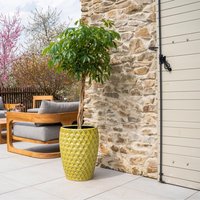 Keramik-Blumentopf Versailles Mehrfarbig | Handgefertigt Frostbeständig Mediterran Garten Ø 38 cm × H 54 Keramik-Blumentopf Versailles Mehrfarbig | Handgefertigt Frostbeständig Mediterran Garten Ø 38 cm × H 54 von Provencelia