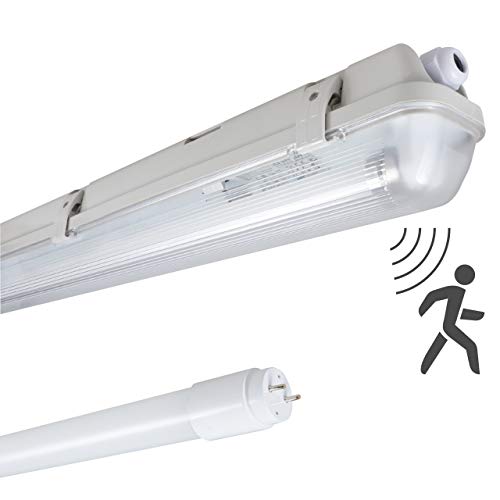 Proventa Feuchtraumleuchte mit HF-Bewegungsmelder und LED-Röhre 60 cm, 7,5 W, 1.100 Lumen, 4.000 K, IP65, 50.000h, IK08, Kunststoff grau, Flackerfrei von Proventa