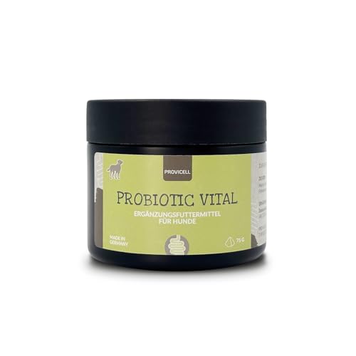 Probiotisches Ergänzungsfuttermittel mit Tierärzten in Deutschland entwickelt | 75 g Pulver | 1 Bakterienstamm für Hunde | Reich an Ballaststoffen | Provicell Probiotic Vital Hund von Provicell