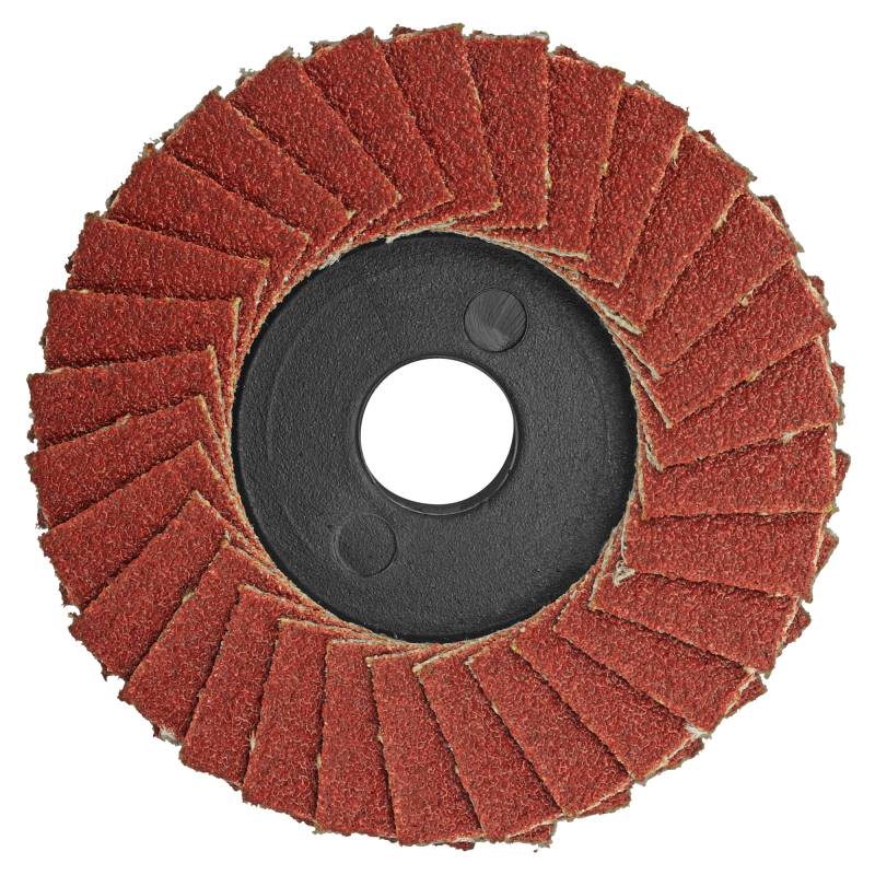 Proxxon Lamellenschleifer 'Micromot' K100 Ø 50 mm von Proxxon