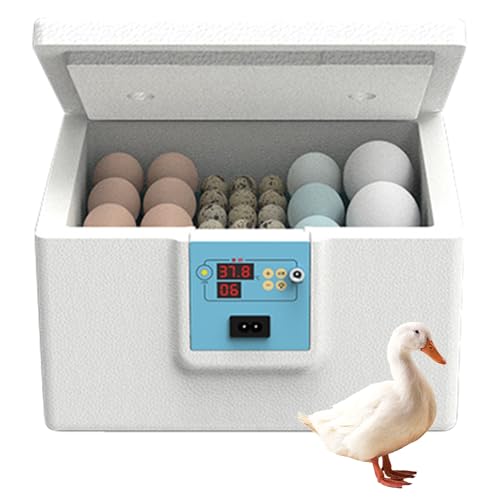 Proypiax Brutmaschine Für Eier,Automatisierter Geflügel Brutkasten | Thermostatgesteuerte Brutbox Halbautomatisch Für Wachtel Tauben Vogelzucht Proypiax Brutmaschine Für Eier,Automatisierter Geflügel Brutkasten | Thermostatgesteuerte Brutbox Halbautomatisch Für Wachtel Tauben Vogelzucht von Proypiax