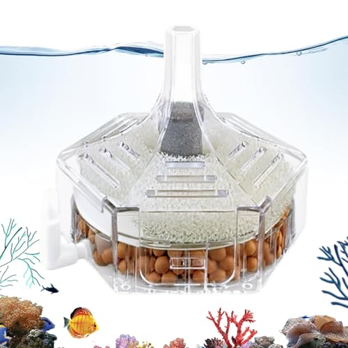 Proypiax Fischbecken Wasserfilter - Reinigungsgerät für Aquarien | Filterung Und Reinigung Für Fischbecken Von Wartungsfachleuten von Proypiax