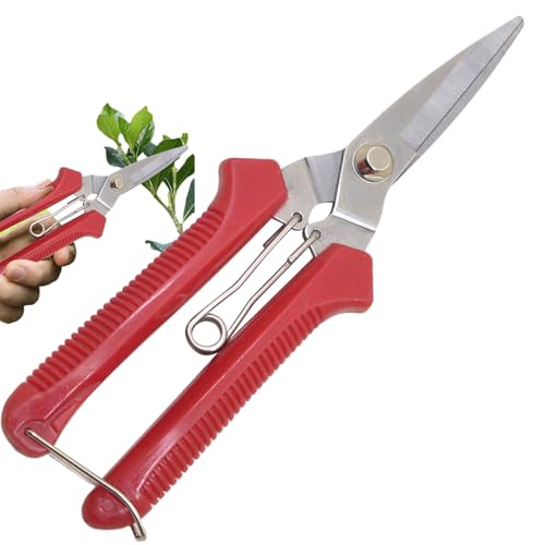Proypiax Gartenschere,Robuste Blumenschere | Ergonomischer Griff, Rostfreie Gartenschere, Präzisionsschneiden mit Rutschfester Griff für Hecke und Gemüse von Proypiax