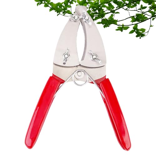 Proypiax Gartenschere - Ringel-Schäl-Schere | Schwerlast Ergonomische Gartenschere Für Gartenarbeit, Heckenschnitt Und Blumengestecke von Proypiax