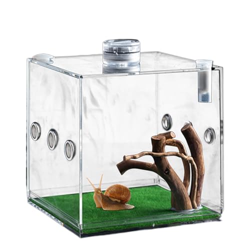 Reptilien Terrarium Box Futterbox Reptile Fütterungsbox Reptilienzuchtbox Acryl, Zuchtbox Anti-Flucht Acryl Terrarium, Spinne, Aufzuchtbox Und FüTterungsbox Für Kleintiere Fütterung von Proypiax