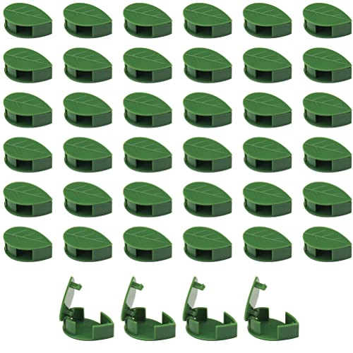 40 Stück Pflanzenklammern für Kletterwandbefestigung, unsichtbare Pflanzenklemmen, selbstklebende Haken, Pflanzenklammern für Wand, Heimdekoration, Draht-Organizer von Prudiut