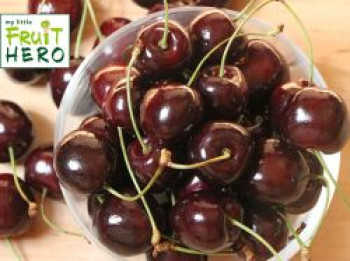 Süßkirsche my little FRUIT HERO ® 'Stella' / selbstfruchtend, Stamm 40-60 cm, Prunus my little FRUIT HERO ® 'Stella', Stämmchen von Prunus my little FRUIT HERO ® 'Stella'
