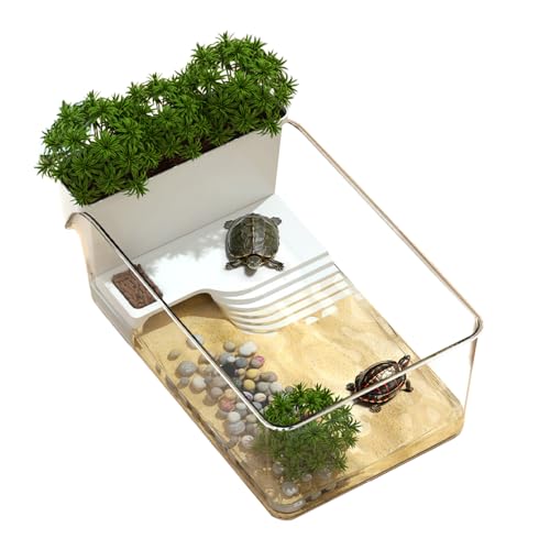 Pruojhw Wasserschildkröten Terrarium - Transparentes Terrarium für Wasserschildkröten - Kleines durchsichtiges Sonnenhabitat für Schildkröten und Krebse - für Bildung und Unterricht Pruojhw Wasserschildkröten Terrarium - Transparentes Terrarium für Wasserschildkröten - Kleines durchsichtiges Sonnenhabitat für Schildkröten und Krebse - für Bildung und Unterricht von Pruojhw