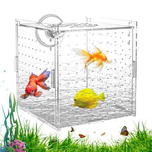 Pruojhw Zuchtbox Für Aquarium | Transparente Brutbox für Aquarium,Stabile Zuchtbox Mit Trennwand Für Eier Jungfische Guppys Skalare Antennenwelse von Pruojhw
