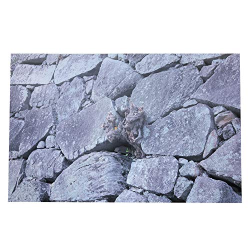 3D Effekt Rock Stone Poster Selbstklebende Reptilien Terrarium Aquarium Hintergrund Aquarium Wandaufkleber Aquarium Hintergrund Unterwasser Poster PVC Dekor Tapete (91 x 50 cm) von Pssopp