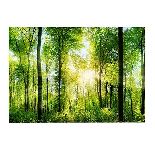 Aquarium Hintergrund Poster 3D Effekt Aquarium Aufkleber PVC Klebstoff Wald Sonnenschein Poster Aquarium Glas Dekoration Bilder(61 * 41cm) von Pssopp