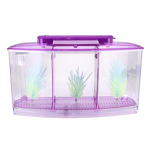 Aquarium Isolation Box Acryl Fisch Isolation Box Fischzuchtbehälter Multifunktionale Zucht Inkubator Box Aquarium Ablaichkasten für Fischzucht Aquarium(lila) von Pssopp