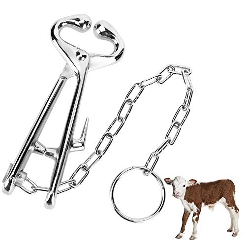 Kuh Nase Blei Bull Rinder Nase Ring Zange Rinder Nase Clip Pulling Tool mit Stahlkette für Farm Ranch Veterinary von Pssopp