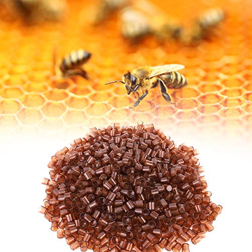 Pssopp 1000 STÜCKE Bienenzucht Cell Cups Zelle Cups Werkzeug Set Koenigin Aufzuchtsystem Bienen Werkzeuge Zubehör für Königin Zucht Tool Imkereiausrüstung von Pssopp