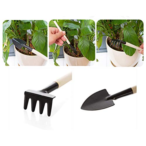 Pssopp 3 Stücke Gartenwerkzeugset, Mini -Gartenwerkzeuge, Brandneu und, Einfach zu Bedienen, Großartiger Helfer für Pflanzen, Transplantation von Sämlingen, Gartenwerkzeugset, Gartenwerkzeuge für Pssopp 3 Stücke Gartenwerkzeugset, Mini -Gartenwerkzeuge, Brandneu und, Einfach zu Bedienen, Großartiger Helfer für Pflanzen, Transplantation von Sämlingen, Gartenwerkzeugset, Gartenwerkzeuge für von Pssopp