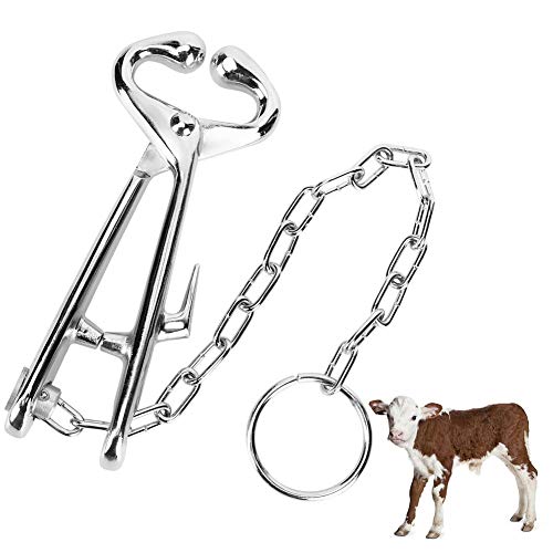 Pssopp Kuh Nase Blei Bull Rinder Nase Ring Zange Rinder Nase Clip Pulling Tool mit Stahlkette für Farm Ranch Veterinary von Pssopp