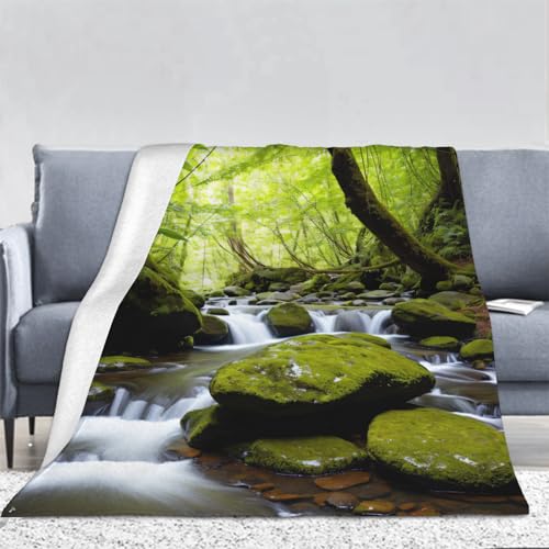 3D Waldmotiv Kuscheldecke Flauschig Flanell Botanisch Pflanzen Decken Wohndecke Flanelldecke Sofadecke Couchdecke Geschenke für Kinder Erwachsener Decke 130x150cm von Ptcta