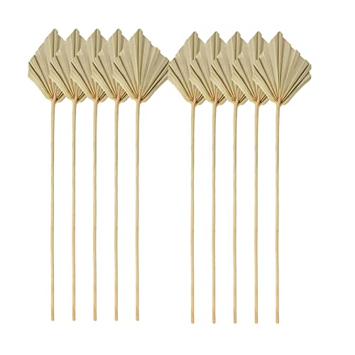 Ptdfjspt 10 STÜCKE Boho Getrocknete Palmenspeere Kleine NatüRliche Getrocknete PalmenfäCher BläTter Ptdfjspt 10 STÜCKE Boho Getrocknete Palmenspeere Kleine NatüRliche Getrocknete PalmenfäCher BläTter von Ptdfjspt