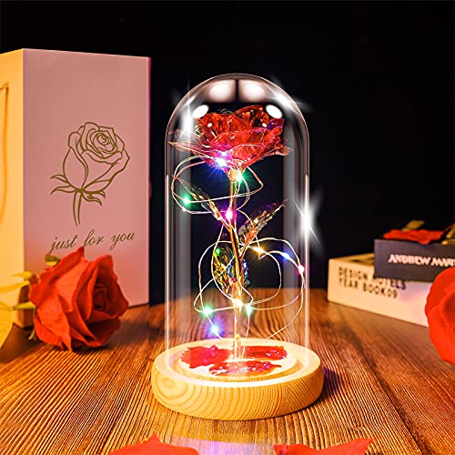 Die Schöne und das Biest Rosenlampe in der Glaskuppel, Ewige Rose Kunstblume mit LED-Licht, Geschenk für Frauen Mädchen zum Geburtstag Valentinstag Muttertag Weihnachten Jubiläum von Ptesuply
