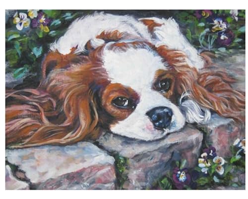 PuPLUm Malen nach Zahlen für Erwachsene,Anfänger,Cavalier King Charles Spaniel Hund,DIY-Acryl-Malerei-nach-Zahlen-Set mit Pinseln,Acrylpigment,Heimdekoration,Geburtstagsgeschenk von PuPLUm