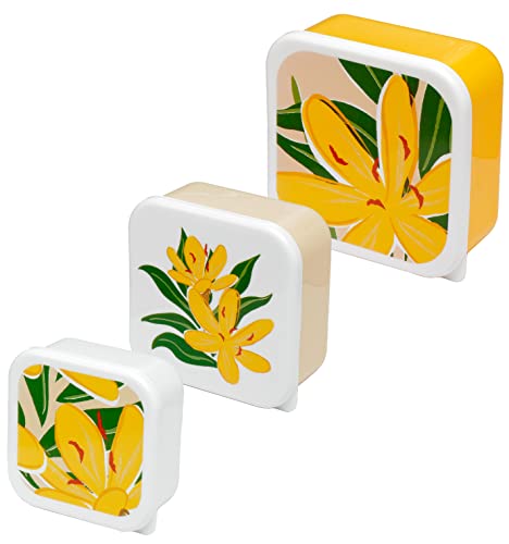 Puckator Florens Hesperantha 3er Set Lunchbox Snackdose M/L/XL – Lunchbox mit mehreren Fächern – Snackaufbewahrung für Erwachsene & Kinder von Puckator