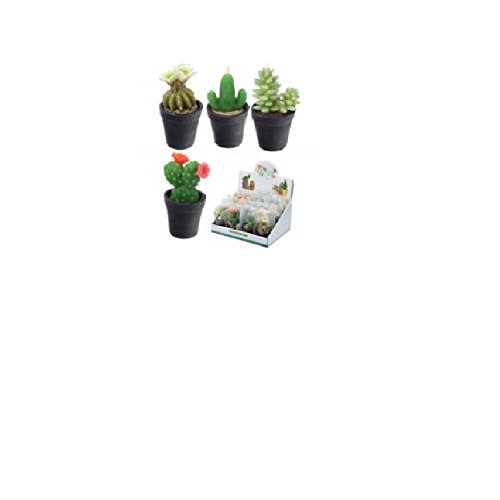 Various Fun Mini-Kerzen???Kleine Kaktus in Topf, von Puckator