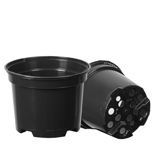 Pullmer Anzuchttöpfe, 5 Stück, rund Pflanzentöpf für Aussaat, Blumentopf für Sämlinge oder Stecklinge, Kunststoff (ø 32) von Pullmer