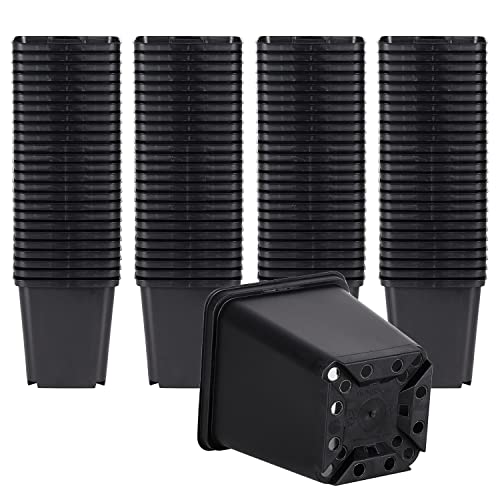 Pullmer Anzuchttöpfe 9x9x9,5 cm, 100 Stück, viereckiger Pflanzentöpf für Aussaat, für Sämlinge oder Stecklinge, Pikiertöpfe Kunststoff, ideal für Gewächshaus oder Hausgarten (100,9x9cm) von Pullmer