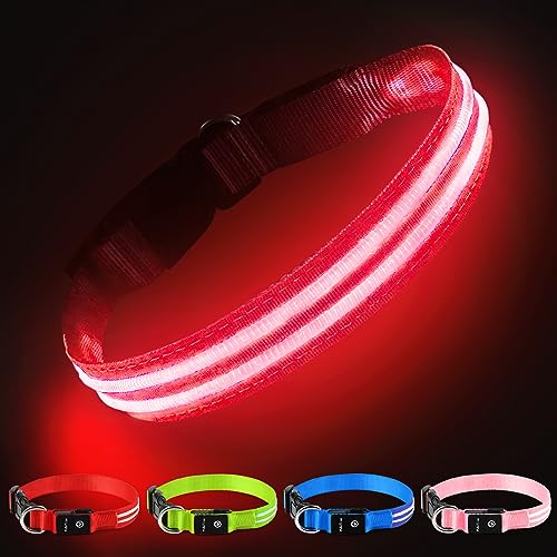 Hundehalsband Leuchtend Aufladbar, Leuchthalsband Hund Wasserdichtes Einstellbare Blinklicht LED Halsband Hund für Kleine Mittlere Große Hunde, Sichtbarkeit im Dunkeln, Rot-S von PcEoTllar