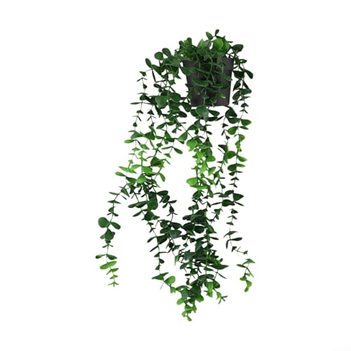 Künstliche hängende Ranke, Topfpflanze, für drinnen und draußen, Eukalyptusblatt, Regaldekoration, mit Topf, grüner Kunststoff, lebensechte Naturschönheit, Heimgartendekoration (dunkelgrün) von Pumixiy