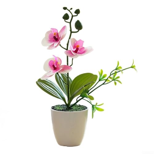 Pumixiy Künstliche Phalaenopsis-Orchidee, Bonsai-Pflanze im Keramik-Topf, dekoratives Blumenarrangement für Wohnzimmer, Büro, Heimdekoration, 26 cm Höhe (lila) von Pumixiy