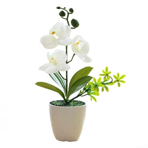 Pumixiy Künstliche Phalaenopsis-Orchidee, Bonsai-Pflanze im Keramik-Topf, dekoratives Blumenarrangement für Wohnzimmer, Büro, Heimdekoration, 26 cm Höhe (weiß) von Pumixiy