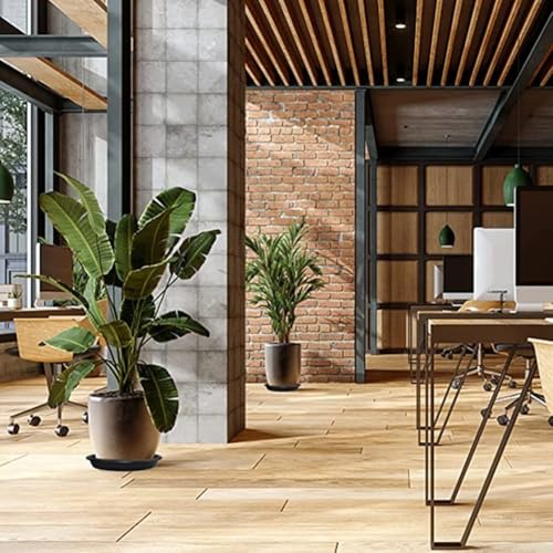 Untersetzer aus schwarzem Kunststoff für Töpfe mit 4 oder 6 Blumen, 7 oder 8 oder 10 Pflanzen, robustes PP-Harz oder Topf-Tropfschalen für den Innen- und Außenbereich, 15,2 cm, 2 Stück Untersetzer aus schwarzem Kunststoff für Töpfe mit 4 oder 6 Blumen, 7 oder 8 oder 10 Pflanzen, robustes PP-Harz oder Topf-Tropfschalen für den Innen- und Außenbereich, 15,2 cm, 2 Stück von Pumixiy