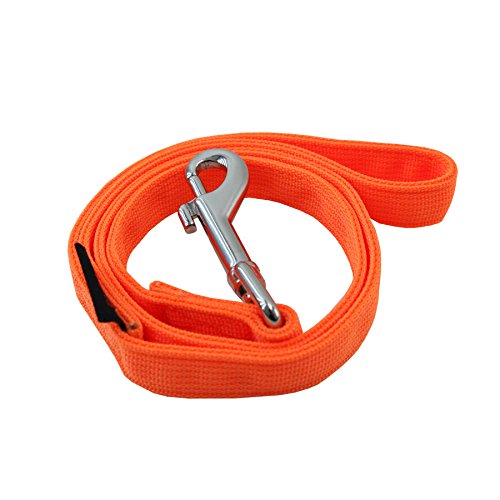 Puppia Authentic Puppia Hundeleine, Neonfarben, Größe L, Orange von Puppia