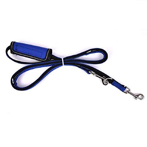 Puppia PLRA-AL9323 Geschirr Trek Lead, L, royal blau von Puppia