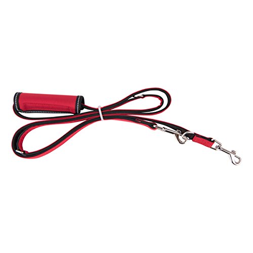 Puppia PLRA-AL9323 Geschirr Trek Lead, M, rot von Puppia