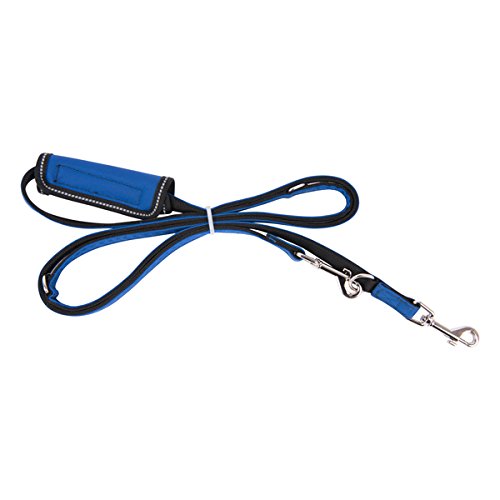 Puppia PLRA-AL9323 Geschirr Trek Lead, M, royal blau von Puppia