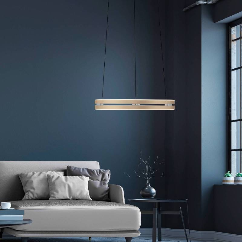 PURE LED-Hängeleuchte E-Loop, messing, Ø 50 cm Aluminium CCT von Pure